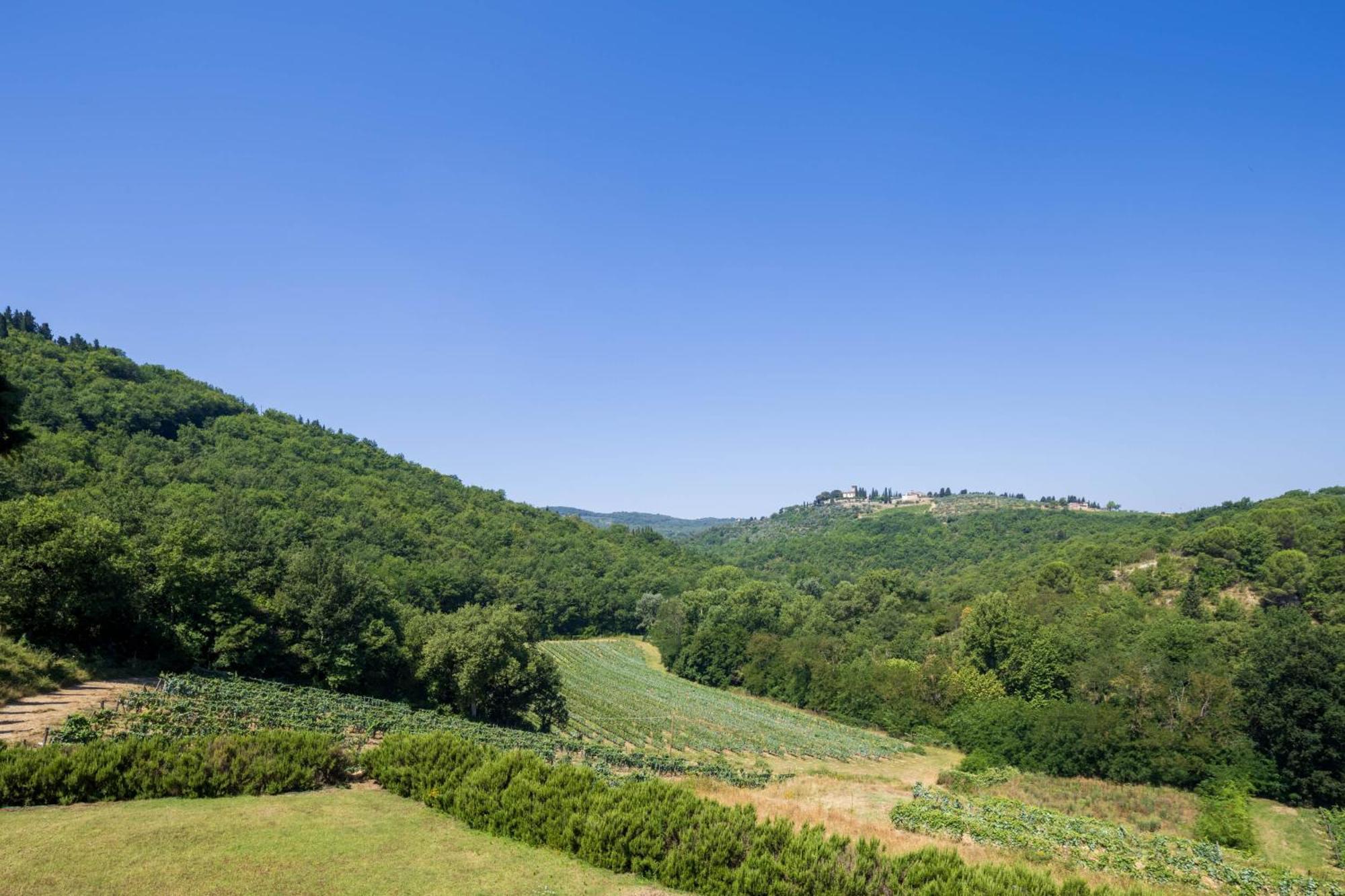 Foresteria Castello Di Verrazzano Greve in Chianti Extérieur photo